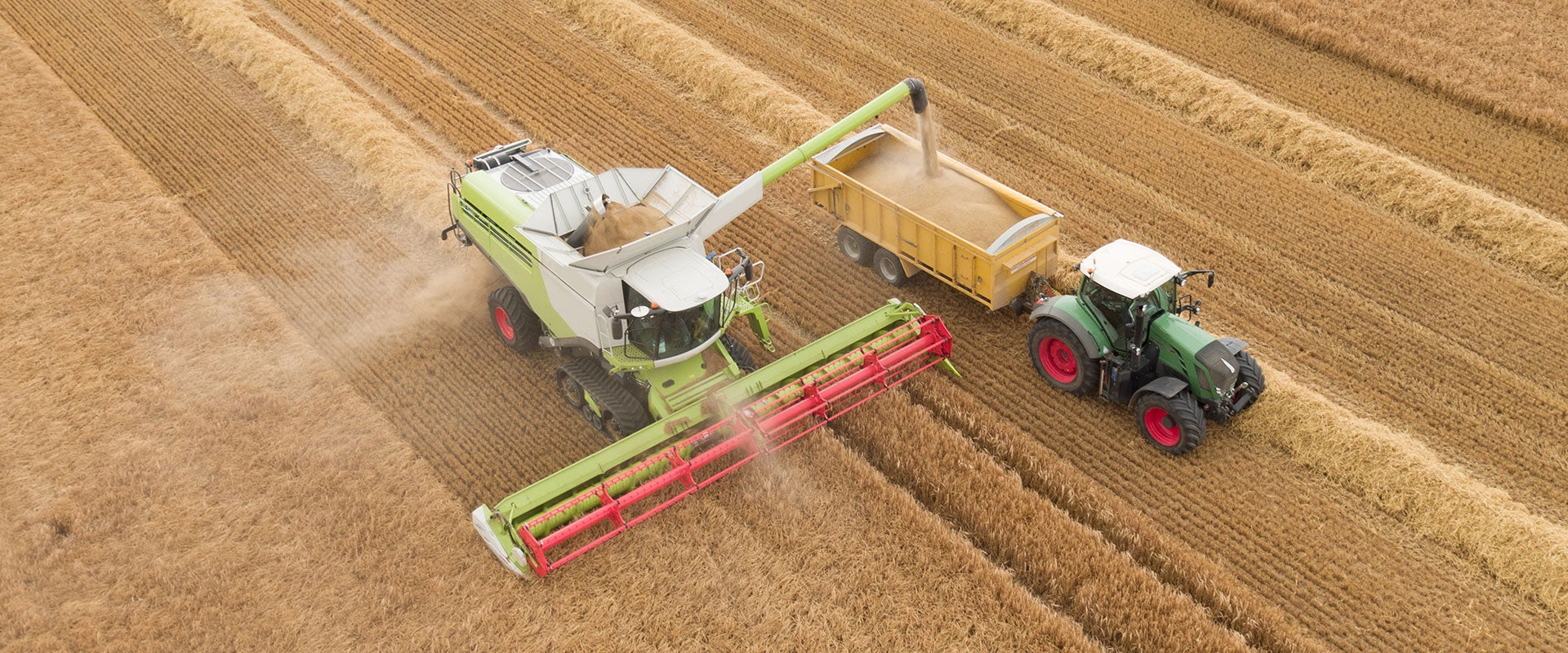 machine harvesting wheat