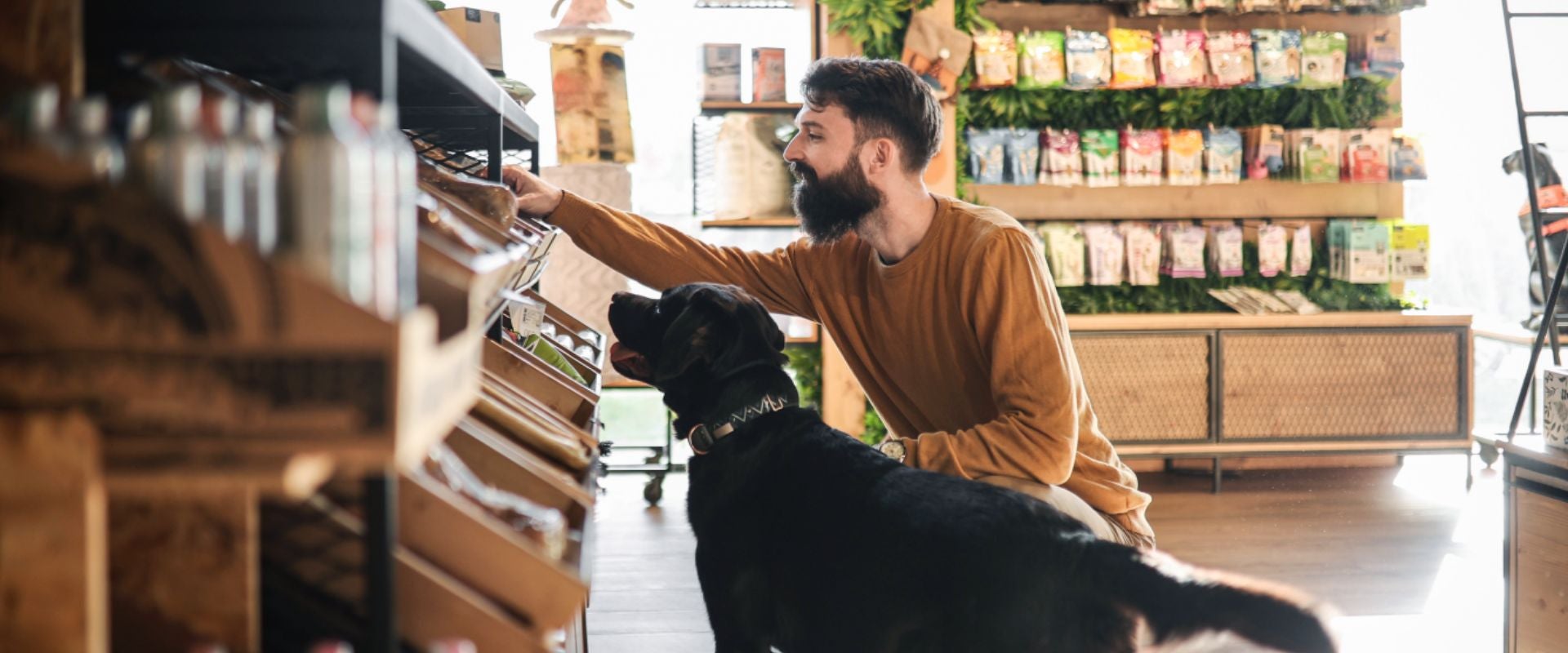person shopping with pet dog